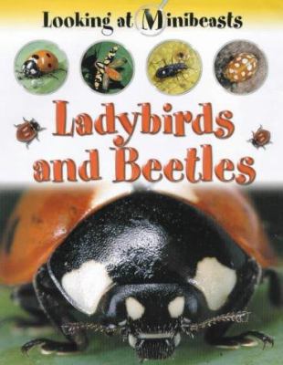 Ladybirds and Beetles 1841381667 Book Cover