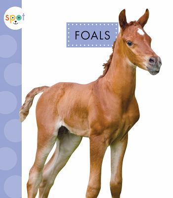 Foals 1681523698 Book Cover
