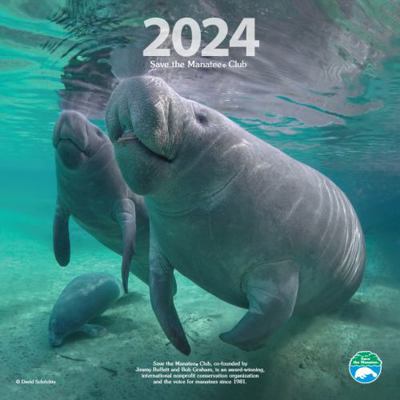 Paperback Manatee 2023 Wall Calendar : Save the Manatee Club Book