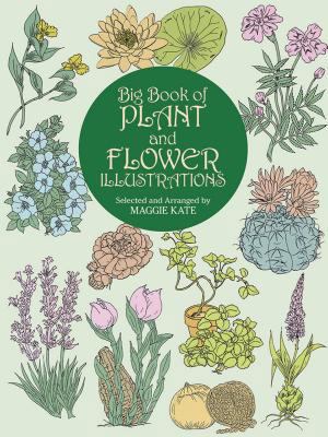 Big Book of Plant and Flower Illustrations 0486409465 Book Cover