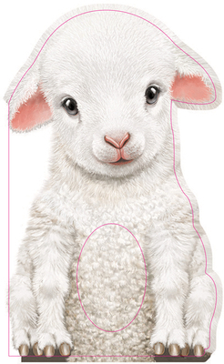 Furry Lamb 1438050135 Book Cover