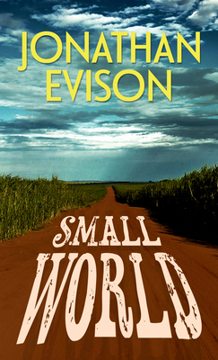 Small World [Large Print] 1432897780 Book Cover