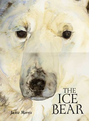 The Ice Bear 184507968X Book Cover