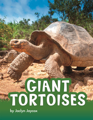 Giant Tortoises B0GN6MN2H8 Book Cover