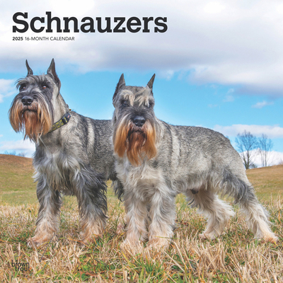 Schnauzers 2025 12 X 24 Inch Monthly Square Wal... 1975477677 Book Cover