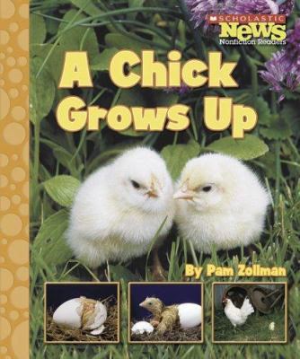 A Chick Grows Up 0516249444 Book Cover