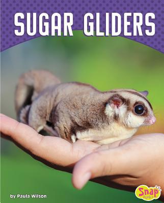 Sugar Gliders 1543530575 Book Cover