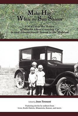 Make Hay While the Sun Shines: Fourth in the Se... 061553435X Book Cover