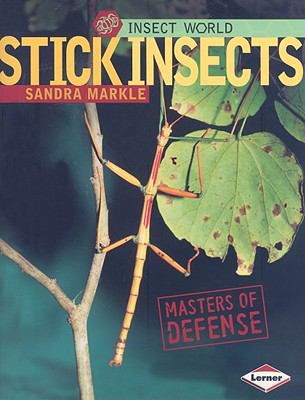 Stick Insects (Insect World) 0822589869 Book Cover