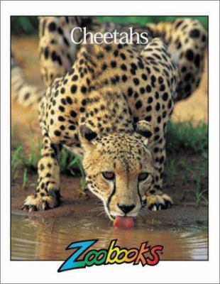 Cheetahs 0937934771 Book Cover