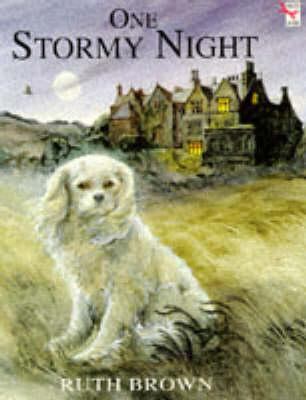 One Stormy Night 0099298910 Book Cover