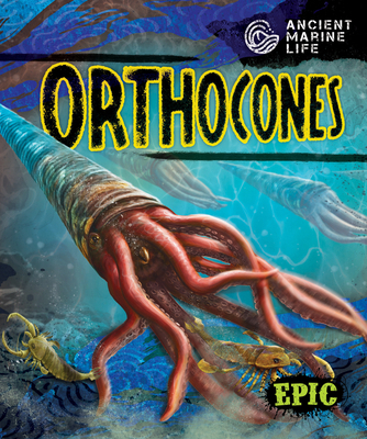 Orthocones B0CHPFJ8VN Book Cover