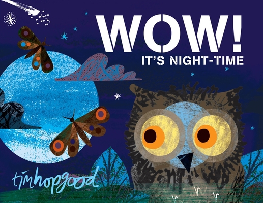 Wow! It's Night-Time 1509829393 Book Cover