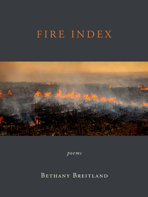 Fire Index: Poems B0BSBFQ447 Book Cover