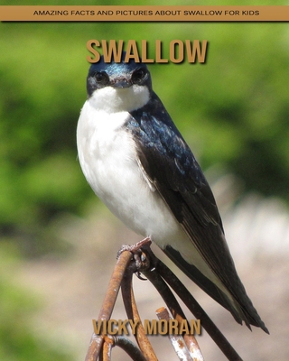 Paperback Swallow: Amazing Facts and Pictures about Swallow for Kids [Large Print] Book