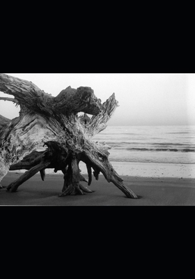 The Apostles B0FCN18NML Book Cover