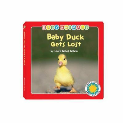 Baby Duck Gets Lost 1592497470 Book Cover