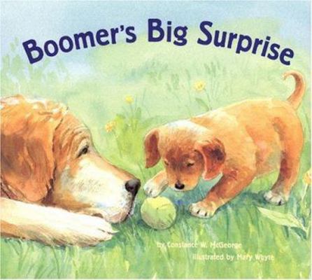 Boomer's Big Surprise (Boomer, BOOM) 0811849074 Book Cover