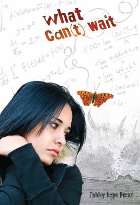 What Can(t) Wait 0761384995 Book Cover