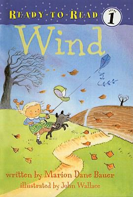 Wind (Ready-To-Read: Level 1 (Pb)) 0756956226 Book Cover