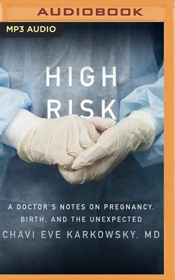 High Risk: A Doctor's Notes on Pregnancy, Birth... 1713541769 Book Cover