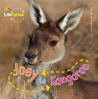 Joey to Kangaroo 1595667407 Book Cover