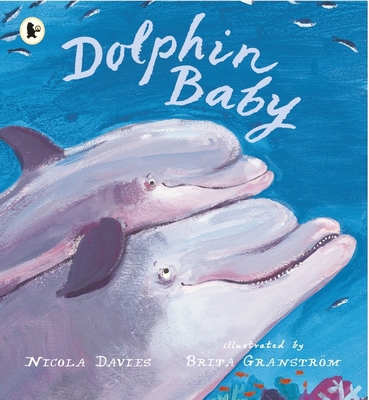 Dolphin Baby 1406367001 Book Cover