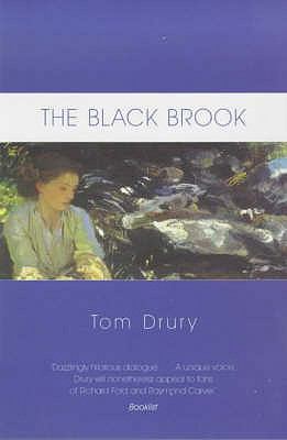 The Black Brook 074900455X Book Cover