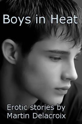 Boys in Heat: Erotic stories by Martin Delacroix 061569473X Book Cover