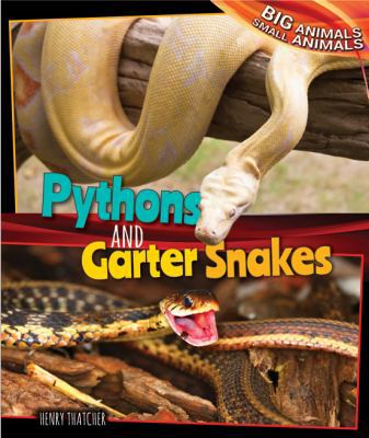 Pythons and Garter Snakes 1477761101 Book Cover