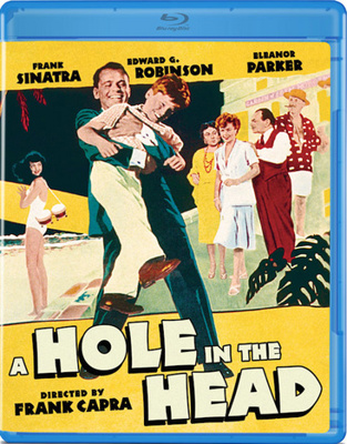 A Hole in the Head            Book Cover