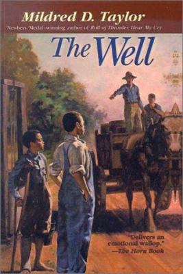 The Well: David's Story 0613104897 Book Cover