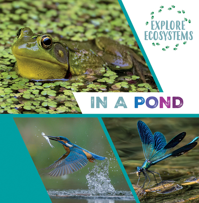 In a Pond 1482478684 Book Cover
