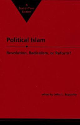 Political Islam: Revolution, Radicalism, or Reform 1555871682 Book Cover