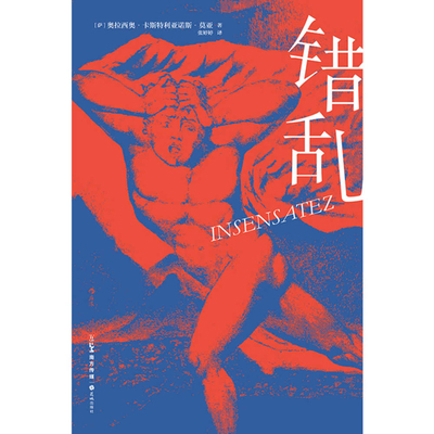 Insensatez [Chinese] 7536096801 Book Cover
