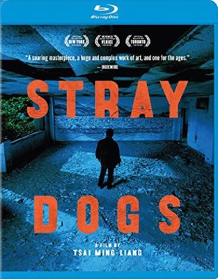 Stray Dogs [Chinese]            Book Cover