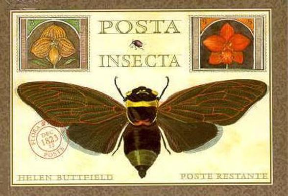 Posta Insecta - Postcard Book 1556705271 Book Cover