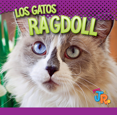 Los Gatos Ragdoll [Spanish] 1644667150 Book Cover