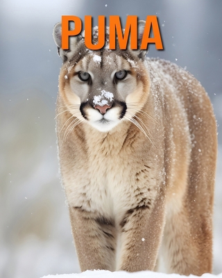 Puma: Datos e imágenes divertidas y fascinantes... [Spanish] B0DJ6MY8GT Book Cover