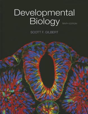 Developmental Biology 0878939784 Book Cover