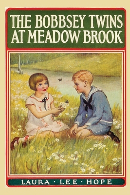 The Bobbsey Twins at Meadow Brook B0863VPL2J Book Cover