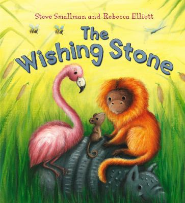 The Wishing Stone. Steve Smallman 1848354363 Book Cover