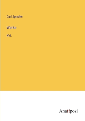 Werke: XVI. [German] 3382039842 Book Cover