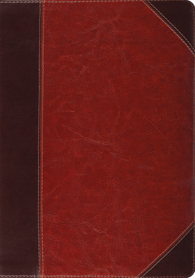 Study Bible-ESV-Portfolio Design 1433544040 Book Cover