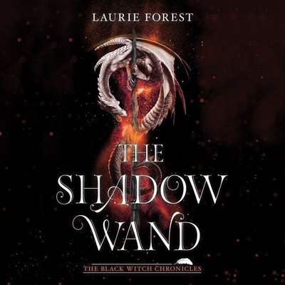 The Shadow Wand 1094099058 Book Cover