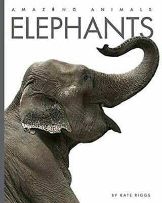 Elephants 1640263802 Book Cover
