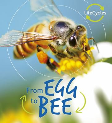 Lifecycles: Egg to Bee 0711241023 Book Cover