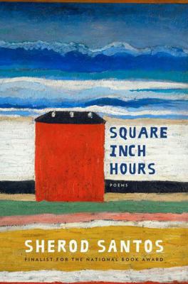 Square Inch Hours: Poems 0393254984 Book Cover