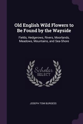 Old English Wild Flowers to Be Found by the Way... 1378560639 Book Cover