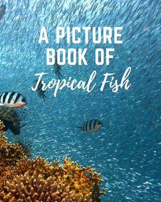 A Picture Book of Tropical Fish: Activity Books... [Large Print] B08QBYKJ1J Book Cover